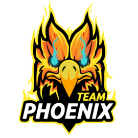 Team Phoenix