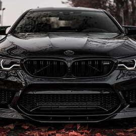 Coleral
