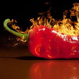 HoT_PePPeR_RuS