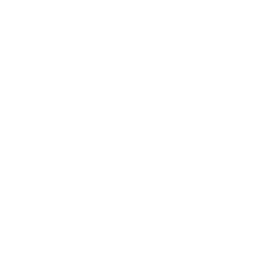 Natus Vincere