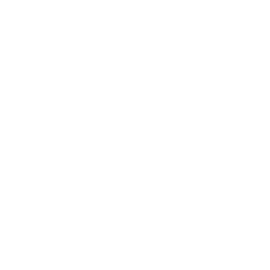 B8